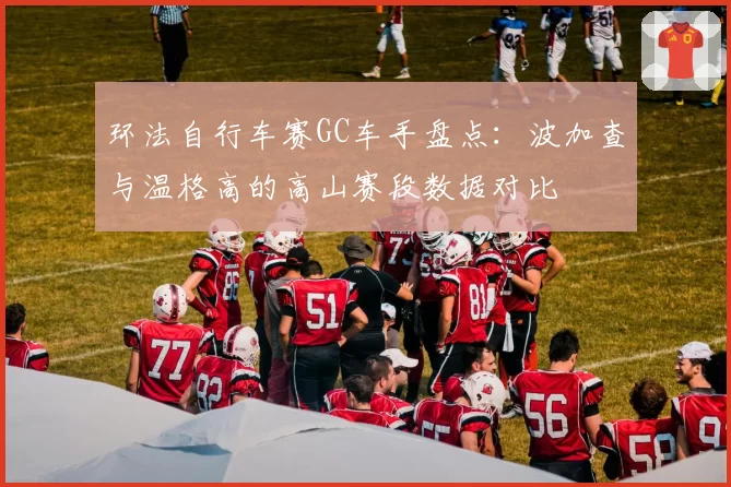 环法自行车赛GC车手盘点:波加查与温格高的高山赛段数据对比