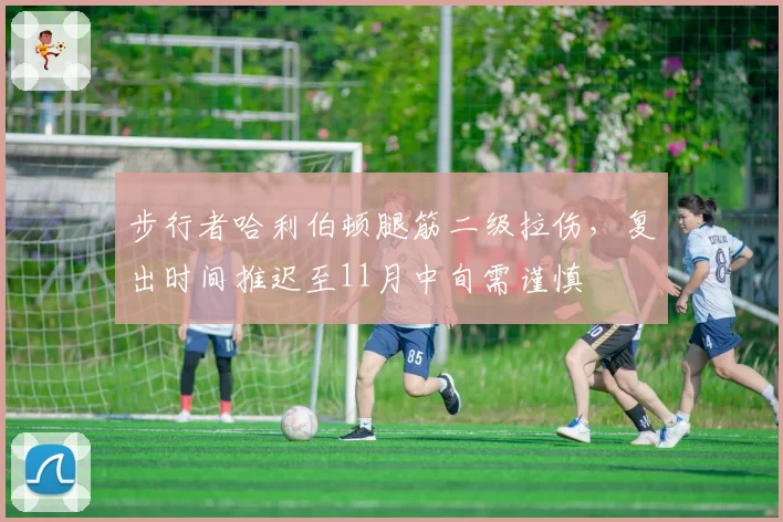步行者哈利伯顿腿筋二级拉伤,复出时间推迟至11月中旬需谨慎