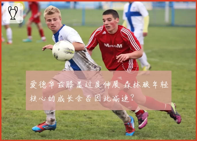 爱德华兹膝盖过度伸展 森林狼年轻核心的成长会否因此减速？