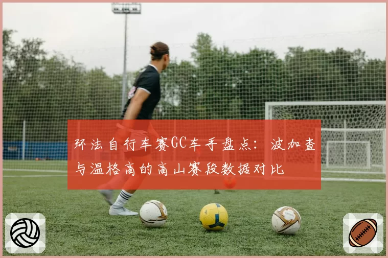 环法自行车赛GC车手盘点:波加查与温格高的高山赛段数据对比