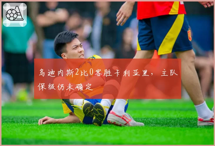 乌迪内斯2比0客胜卡利亚里,主队保级仍未确定