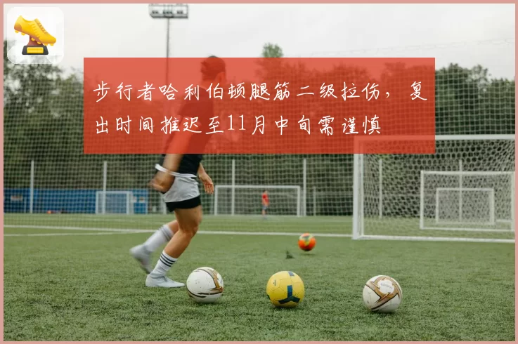 步行者哈利伯顿腿筋二级拉伤，复出时间推迟至11月中旬需谨慎